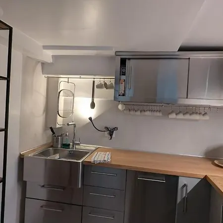 Milanese Loft With Garden Apartment Milan